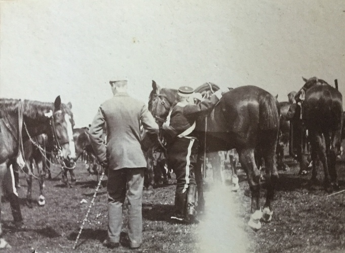 India to England-113