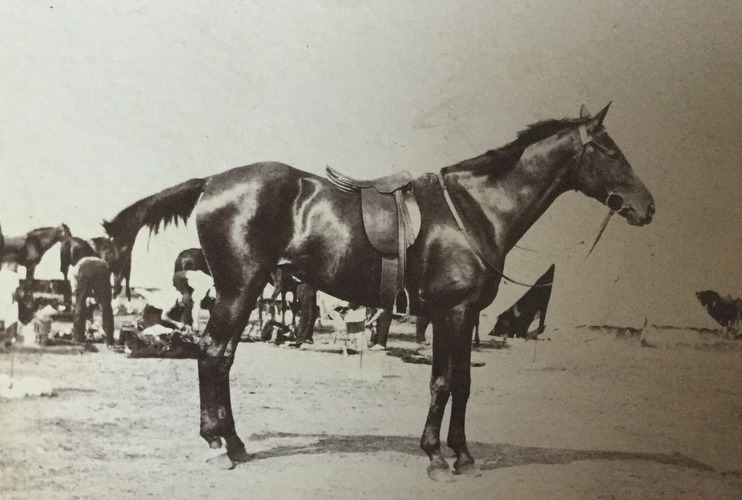 India to England-175