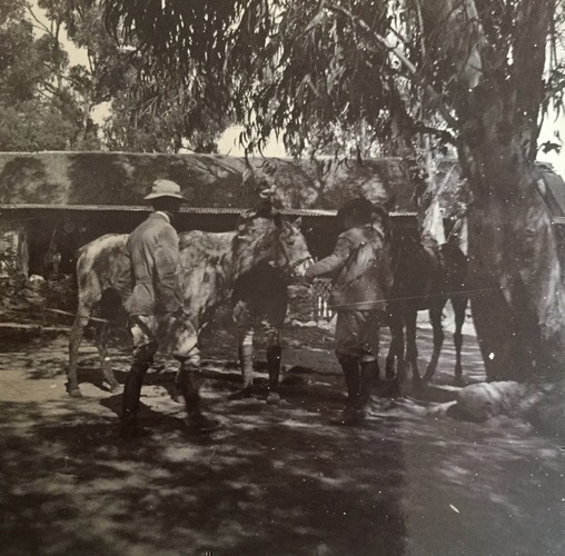 Ireland to Africa 1892 1900-102