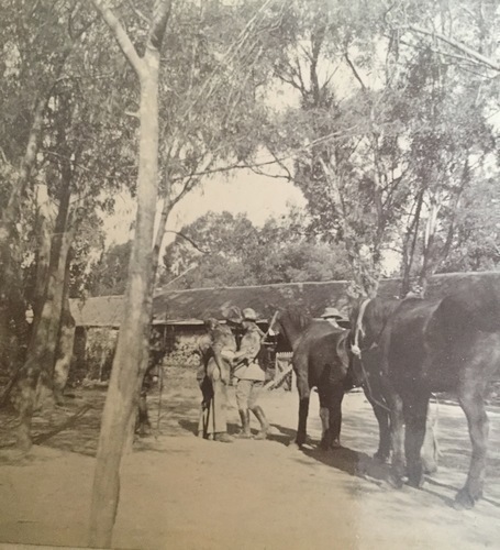 Ireland to Africa 1892 1900-105