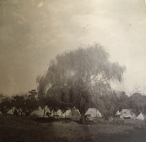 Ireland to Africa 1892 1900-108