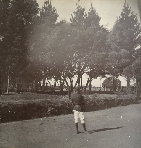 Ireland to Africa 1892 1900-110