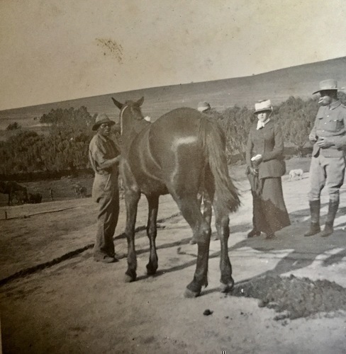 Ireland to Africa 1892 1900-114