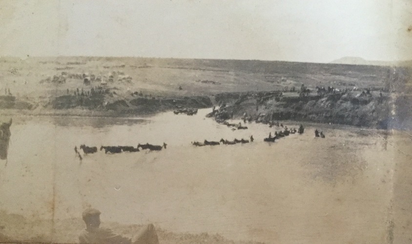 Ireland to Africa 1892 1900-118