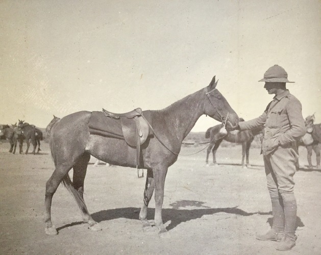Ireland to Africa 1892 1900-129
