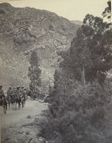 Ireland to Africa 1892 1900-135