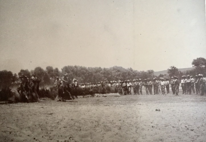 Ireland to Africa 1892 1900-138