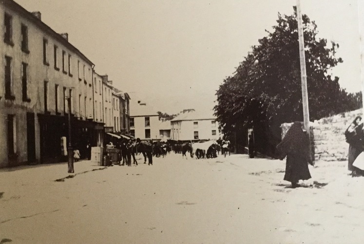 Ireland to Africa 1892 1900-26