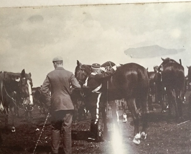 Ireland to Africa 1892 1900-43