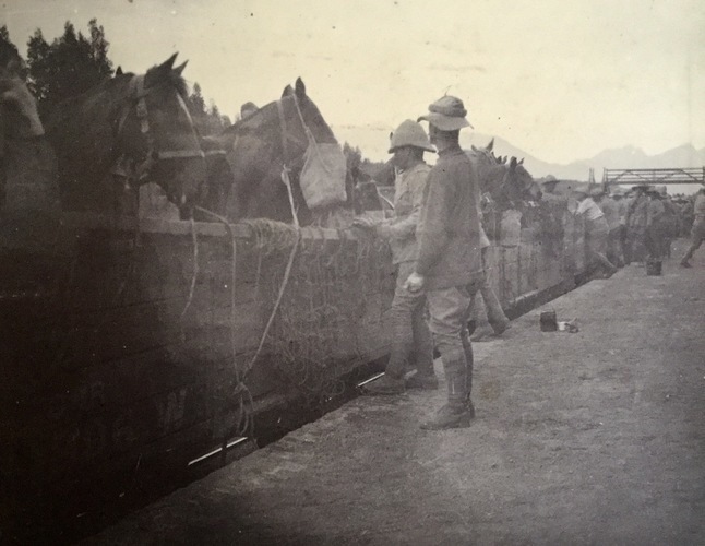 Ireland to Africa 1892 1900-62