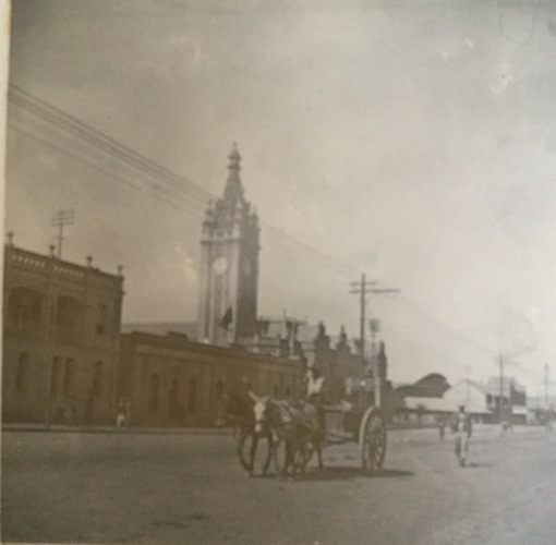 Ireland to Africa 1892 1900-84