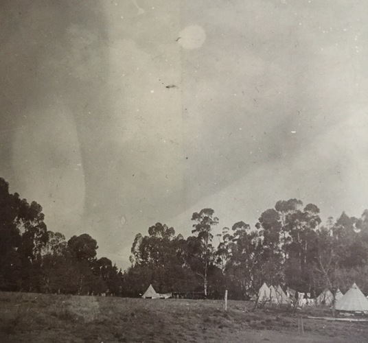 Ireland to Africa 1892 1900-95