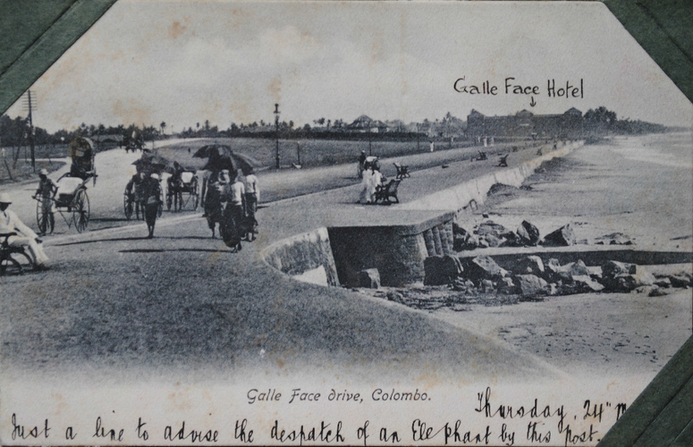 India-19