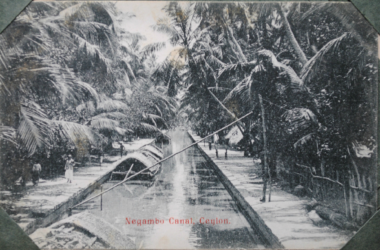 India-23